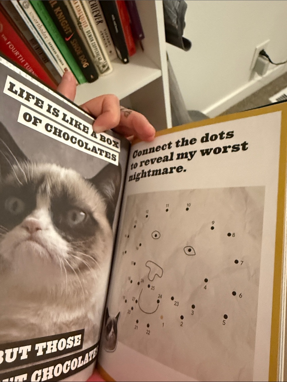 A Grumpy Book — Grumpy Cat - Picture 4 of 5